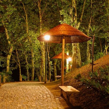 Quinta Da Costa Villa Vila da Lixa Екстериор снимка